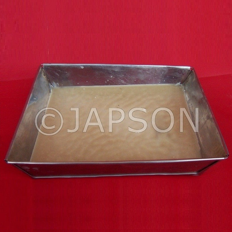 Dissecting Tray Dissecting Tray